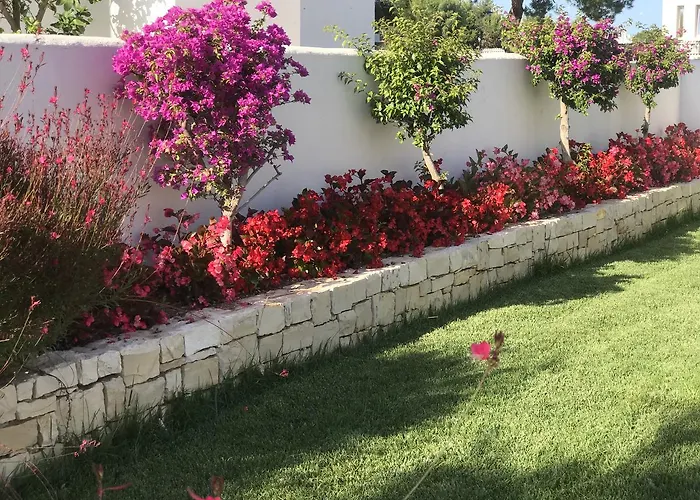 La Petricor Барі